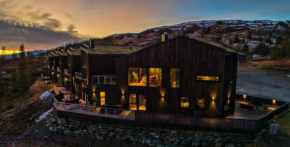 Trilodge - Unique cabin with high standard, views, ski in & out, attractive location